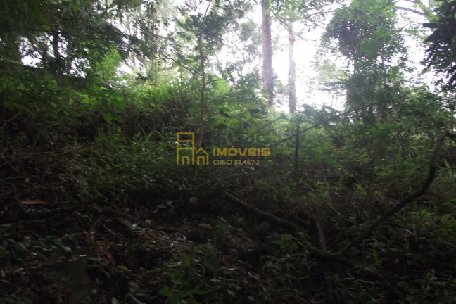 Imagem Terreno à Venda, 2.358 m² em Parque Alvorada - Santana De Parnaíba Imagem Terreno à Venda, 2.358 m² em Parque Alvorada - Santana De Parnaíba