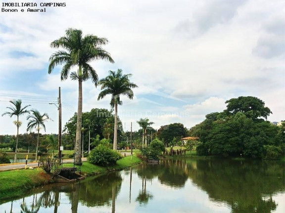 Imagem Casa de Condomínio com 4 Quartos à Venda, 550 m² em Loteamento Alphaville Campinas - Campinas Imagem Casa de Condomínio com 4 Quartos à Venda, 550 m² em Loteamento Alphaville Campinas - Campinas