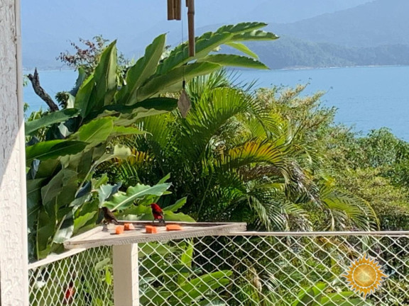 Imagem Casa com 4 Quartos à Venda, 2.785 m² em Ponta Grossa - Ubatuba Imagem Casa com 4 Quartos à Venda, 2.785 m² em Ponta Grossa - Ubatuba