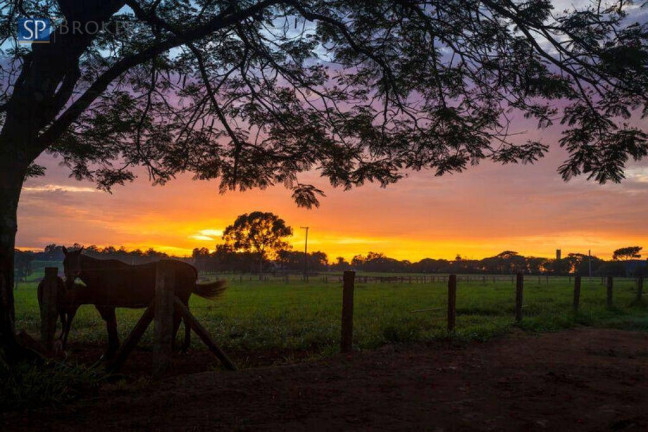 Imagem Terreno à Venda, 800 m² em Residencial Haras Patente - Jaguariúna