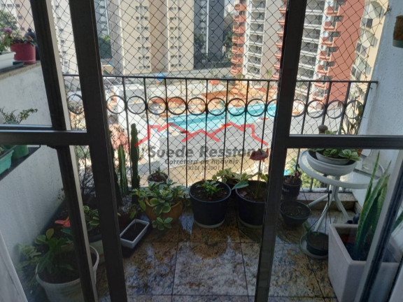 Imagem Apartamento com 3 Quartos à Venda, 75 m² em Vila Sofia - São Paulo