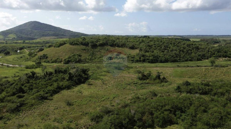 Imagem Fazenda à Venda, 1.449.875 m² em Zona Rural - Anchieta Imagem Fazenda à Venda, 1.449.875 m² em Zona Rural - Anchieta