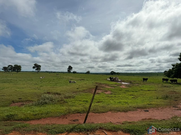 Imagem Imóvel à Venda, 1.800.900 m² em Centro - Carneirinho Imagem Imóvel à Venda, 1.800.900 m² em Centro - Carneirinho