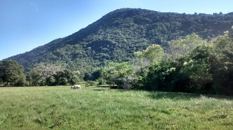 Imagem Chácara à Venda, 4.800 m² em São João Do Rio Vermelho - Florianópolis Imagem Chácara à Venda, 4.800 m² em São João Do Rio Vermelho - Florianópolis