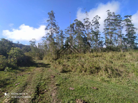 Imagem Chácara à Venda, 11 m² em Centro - Miracatu Imagem Chácara à Venda, 11 m² em Centro - Miracatu