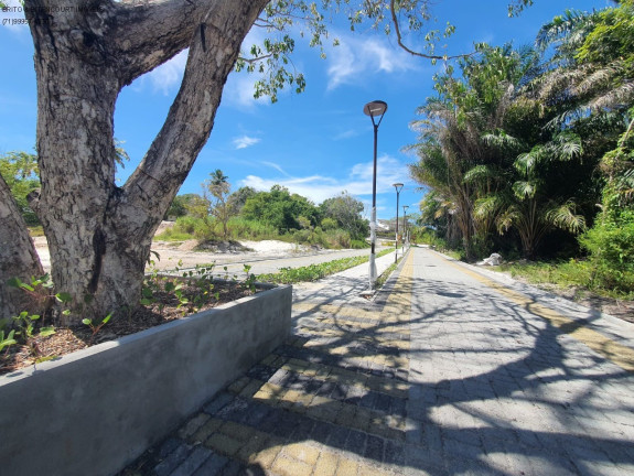 Imagem Terreno à Venda, 1.000 m² em Busca Vida - Camaçari Imagem Terreno à Venda, 1.000 m² em Busca Vida - Camaçari