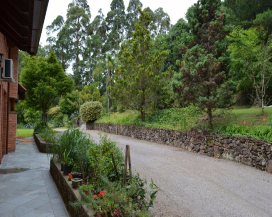 Imagem Imóvel com 3 Quartos à Venda,  em Vale Verde - Nova Petrópolis