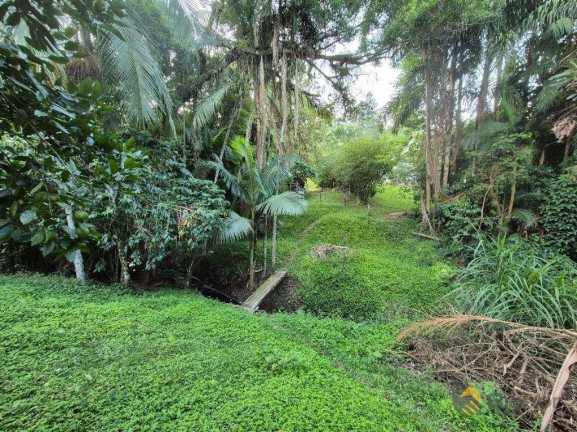 Imagem Chácara com 3 Quartos à Venda, 140 m² em Velha Central - Blumenau Imagem Chácara com 3 Quartos à Venda, 140 m² em Velha Central - Blumenau