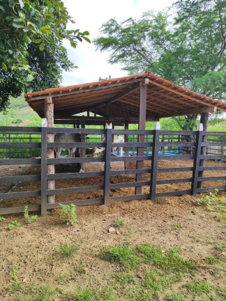 Imóvel à Venda,  em Cumaru - Cumaru