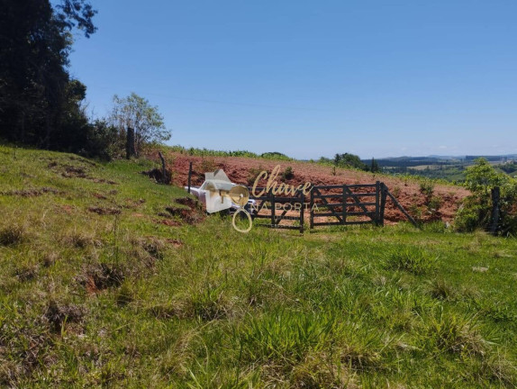 Imagem Casa com 1 Quarto à Venda, 381 m² em Chácara Santa Maria - Itapecerica Da Serra Imagem Casa com 1 Quarto à Venda, 381 m² em Chácara Santa Maria - Itapecerica Da Serra