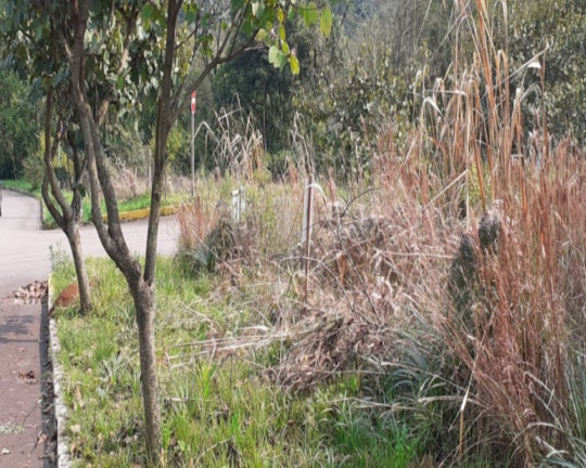 Imagem Imóvel à Venda, 700 m² em Vale Verde - Nova Petrópolis