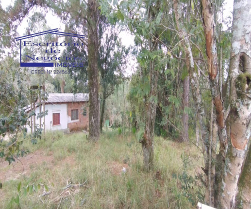 Imagem Terreno à Venda, 7.657 m² em Lomba Do Pinheiro - Porto Alegre Imagem Terreno à Venda, 7.657 m² em Lomba Do Pinheiro - Porto Alegre