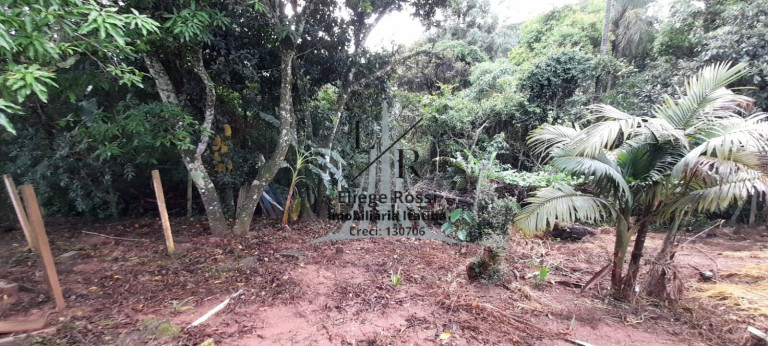Imagem Chácara com 2 Quartos à Venda, 1.000 m² em Real Parque Dom Pedro I - Itatiba Imagem Chácara com 2 Quartos à Venda, 1.000 m² em Real Parque Dom Pedro I - Itatiba