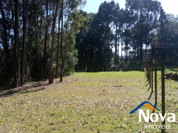 Imagem Imóvel à Venda, 682 m² em Juriti - Nova Petrópolis Imagem Imóvel à Venda, 682 m² em Juriti - Nova Petrópolis