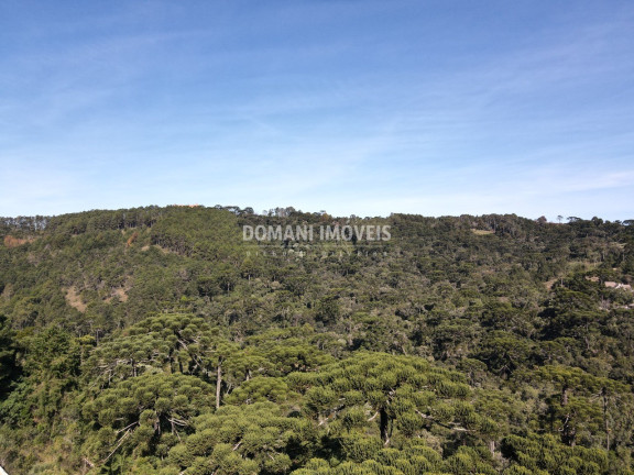 Imagem Terreno à Venda, 4.300 m² em Região Do Alto Da Boa Vista - Campos Do Jordão Imagem Terreno à Venda, 4.300 m² em Região Do Alto Da Boa Vista - Campos Do Jordão
