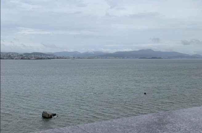Imagem Apartamento com 4 Quartos à Venda, 226 m² em Centro - Florianópolis Imagem Apartamento com 4 Quartos à Venda, 226 m² em Centro - Florianópolis