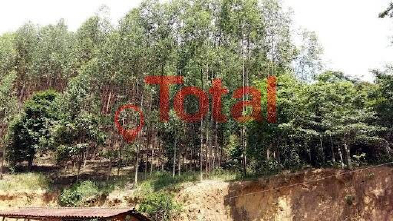 Imagem Terreno à Venda, 70.000 m² em Zona Rural - Marliéria Imagem Terreno à Venda, 70.000 m² em Zona Rural - Marliéria