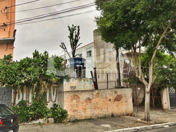 Imagem Terreno à Venda, 185 m² em Vila Maria Alta - São Paulo