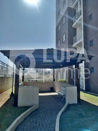 Imagem Apartamento com 3 Quartos à Venda, 64 m² em Vila Guilherme - São Paulo