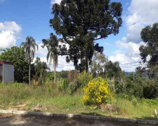 Imagem Imóvel à Venda, 391 m² em Pinhal Alto - Nova Petrópolis