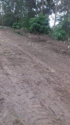 Imagem Imóvel com 1 Quarto à Venda, 8.177 m² em Tijuco Preto - Quadra