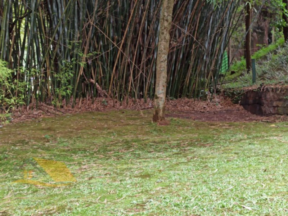 Imagem Chácara com 5 Quartos à Venda, 300 m² em Chácara Paraíso - Nova Friburgo