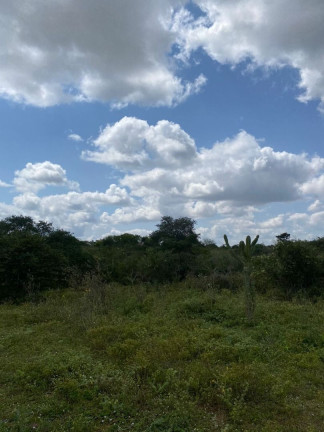Imagem Fazenda à Venda, 310.000 m² em Br 116 - Euclides Da Cunha Imagem Fazenda à Venda, 310.000 m² em Br 116 - Euclides Da Cunha