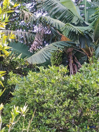 Imagem Chácara à Venda, 1.800 m² em Salto De Pirapora - Salto De Pirapora Imagem Chácara à Venda, 1.800 m² em Salto De Pirapora - Salto De Pirapora