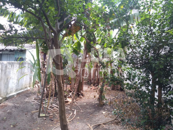 Imagem Casa com 2 Quartos à Venda, 45 m² em Vila Maria - São Paulo