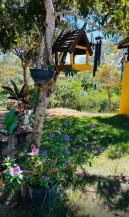 Imagem Imóvel com 2 Quartos à Venda, 1.000 m² em área Rural De Luziânia - Luziânia Imagem Imóvel com 2 Quartos à Venda, 1.000 m² em área Rural De Luziânia - Luziânia