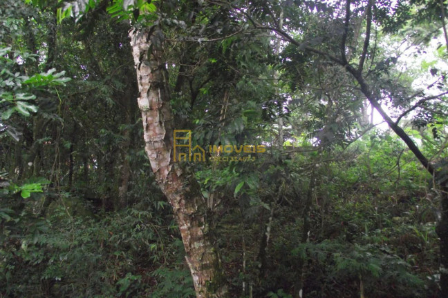Imagem Terreno à Venda, 2.358 m² em Parque Alvorada - Santana De Parnaíba Imagem Terreno à Venda, 2.358 m² em Parque Alvorada - Santana De Parnaíba