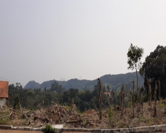 Imagem Imóvel à Venda, 778 m² em Vale Verde - Nova Petrópolis
