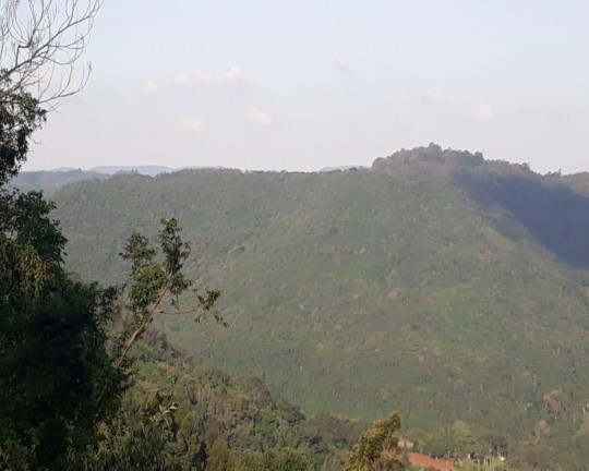 Imagem Imóvel à Venda, em Linha Olinda - Nova Petrópolis Imagem Imóvel à Venda, em Linha Olinda - Nova Petrópolis