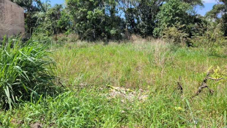 Imagem Terreno à Venda, 360 m² em Balneário Itapoá - Itapoá Imagem Terreno à Venda, 360 m² em Balneário Itapoá - Itapoá
