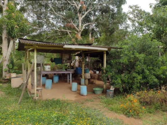Imagem Chácara à Venda, 5.000 m² em Areia Branca - Porto Velho Imagem Chácara à Venda, 5.000 m² em Areia Branca - Porto Velho
