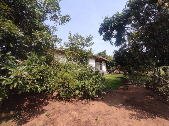 Imagem Chácara com 3 Quartos à Venda, 6.666 m² em Rodovia - Alambari