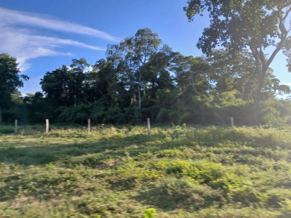 Imagem Chácara à Venda, 35 m² em Arapongas