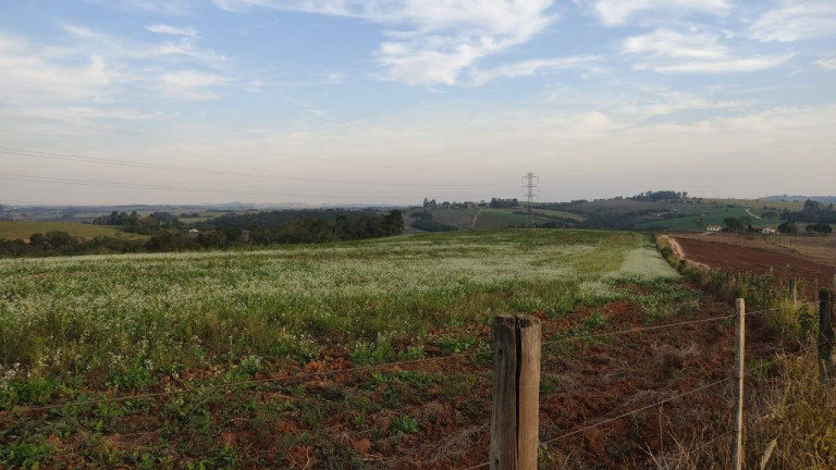 Imagem Fazenda à Venda, 1 m² em Morro Alto - Itapetininga Imagem Fazenda à Venda, 1 m² em Morro Alto - Itapetininga