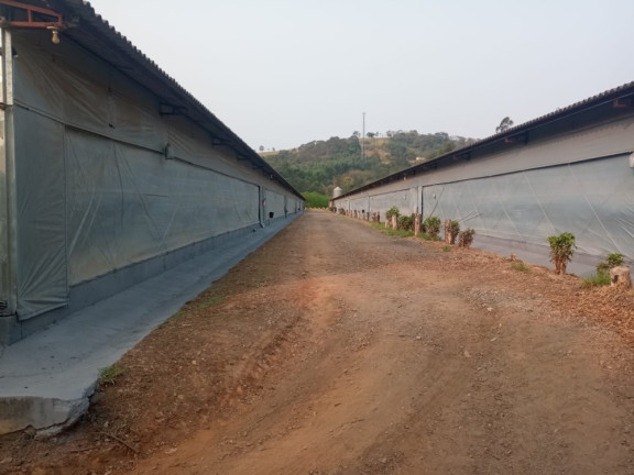Imagem Imóvel à Venda, 6 m² em Boa Vista Dos Silva - Bragança Paulista Imagem Imóvel à Venda, 6 m² em Boa Vista Dos Silva - Bragança Paulista