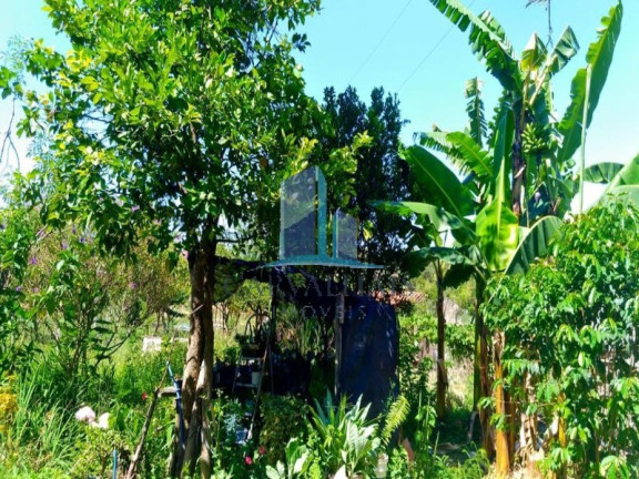 Imagem Imóvel com 2 Quartos à Venda, 2.500 m² em Andiroba - Esmeraldas