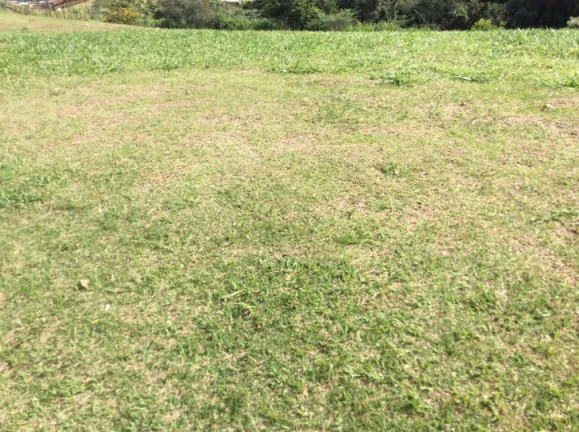 Imagem Terreno à Venda, 500 m² em Chácara São João - Carapicuíba Imagem Terreno à Venda, 500 m² em Chácara São João - Carapicuíba