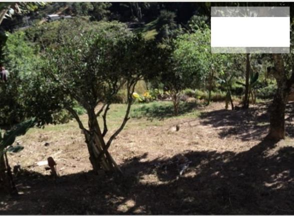 Imagem Chácara com 2 Quartos à Venda, 1.440 m² em Terra Preta - Mairiporã