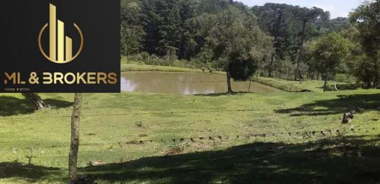 Imagem Imóvel com 2 Quartos à Venda, 81.000 m² em Agua Amarela - Antonio Olinto