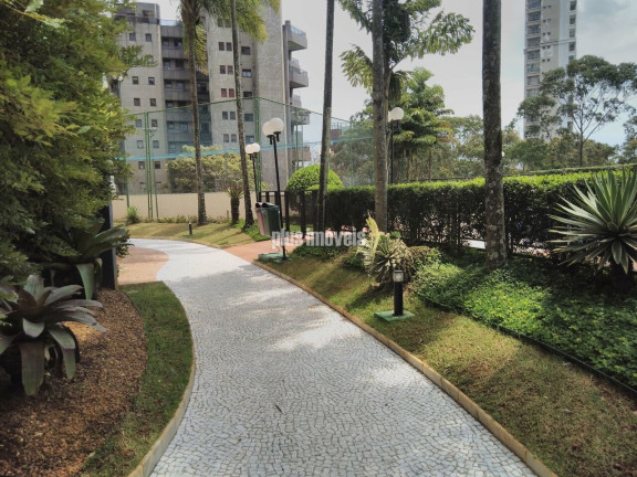 Imagem Apartamento com 4 Quartos para Alugar, 128 m² em Morumbi - São Paulo Imagem Apartamento com 4 Quartos para Alugar, 128 m² em Morumbi - São Paulo
