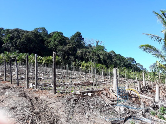 Imagem Terreno à Venda, 232.297 m² em Enseada - São Francisco Do Sul