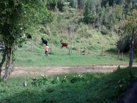 Imagem Fazenda à Venda, 726 m² em Azevedo - Joanópolis Imagem Fazenda à Venda, 726 m² em Azevedo - Joanópolis