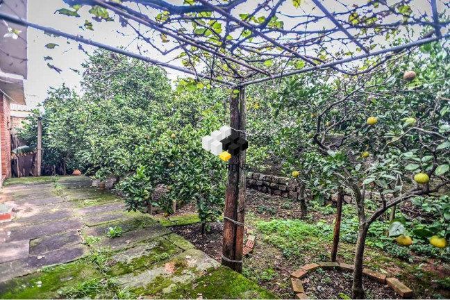 Imagem Casa de Condomínio com 3 Quartos à Venda, 100 m² em Santa Tereza - Porto Alegre