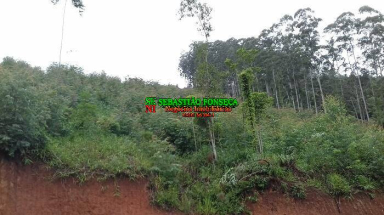 Imagem Chácara à Venda, 30.000 m² em Centro - Monteiro Lobato Imagem Chácara à Venda, 30.000 m² em Centro - Monteiro Lobato