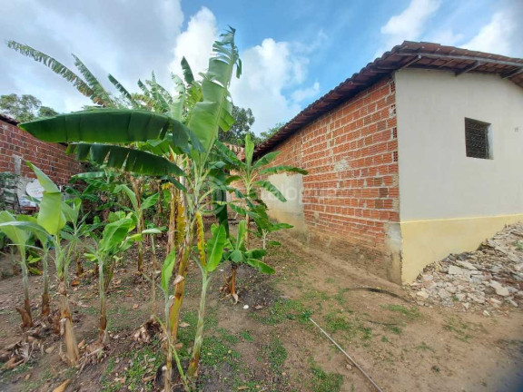 Imagem Fazenda à Venda, 2.000 m² em Zona Rural - São José De Mipibu Imagem Fazenda à Venda, 2.000 m² em Zona Rural - São José De Mipibu