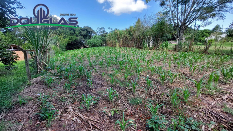 Imagem Terreno à Venda, em águas Claras - Viamão Imagem Terreno à Venda, em águas Claras - Viamão